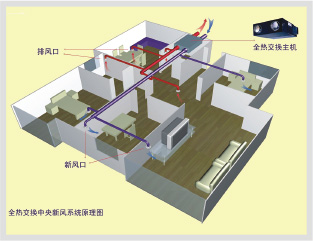 新風